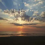 Near Woods And Egmond 別荘 *
