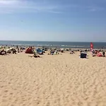 Near Woods And Egmond *