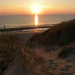 Near Woods And Egmond *