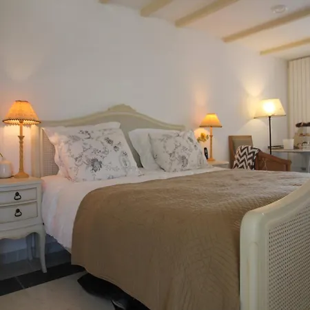 Near Woods And Egmond * 헤일루