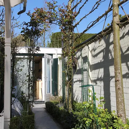 Near Woods And Egmond *