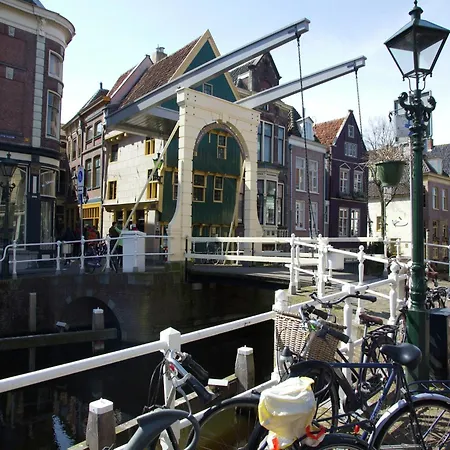 Near Woods And Egmond Heiloo