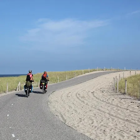 Near Woods And Egmond Tatil Evi *