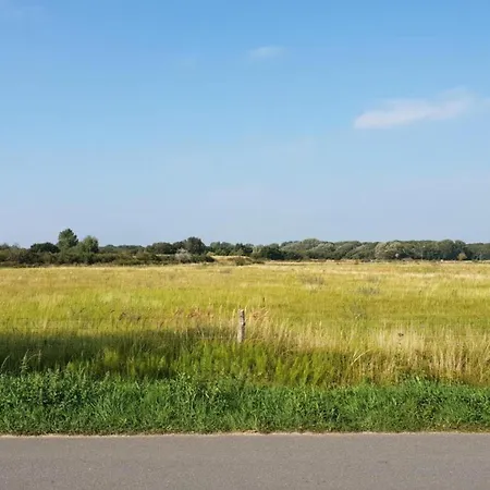 Near Woods And Egmond *