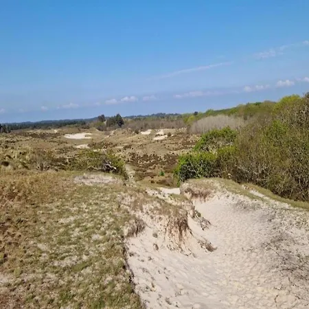 Near Woods And Egmond