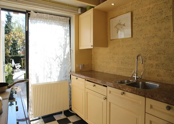 Near Woods And Egmond Heiloo