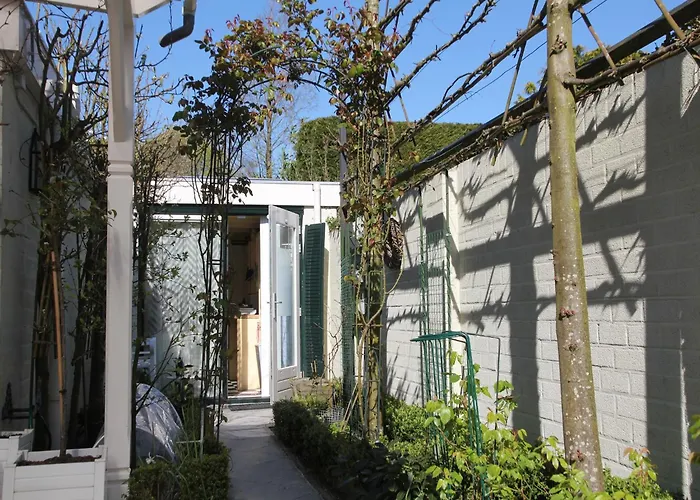 Near Woods And Egmond *