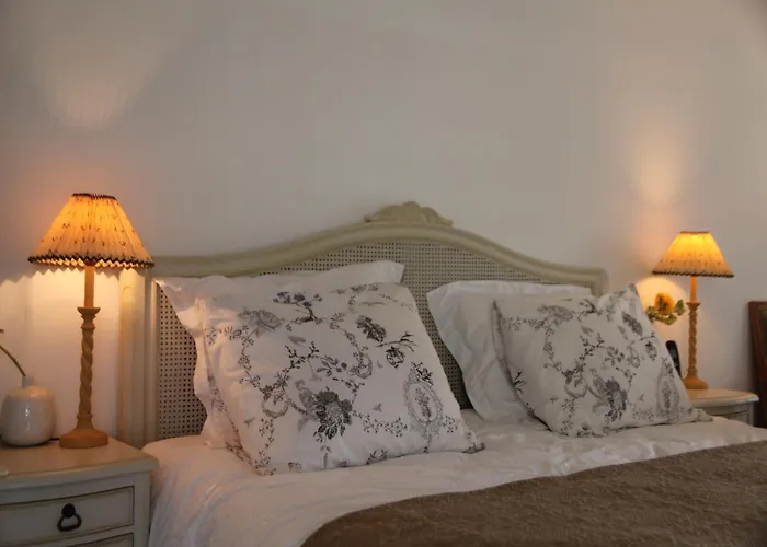 Near Woods And Egmond *