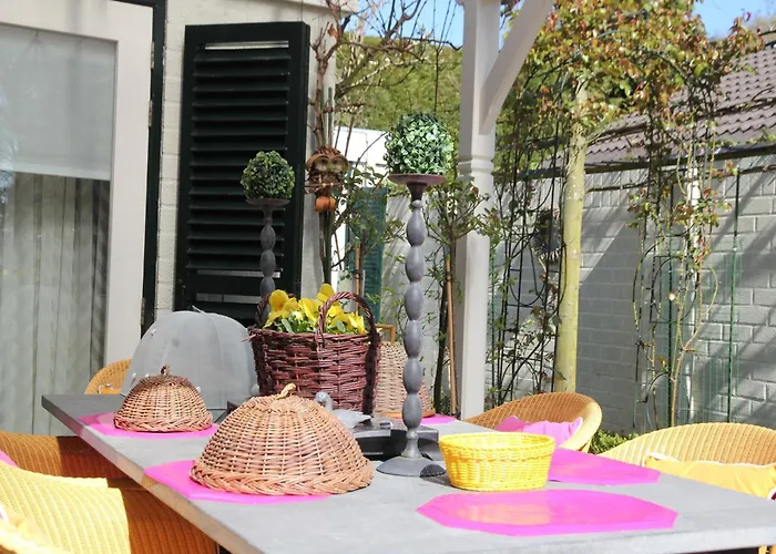 Near Woods And Egmond * Heiloo