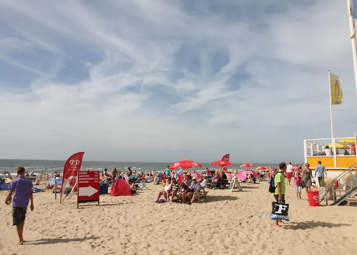 Near Woods And Egmond 펜션 헤일루