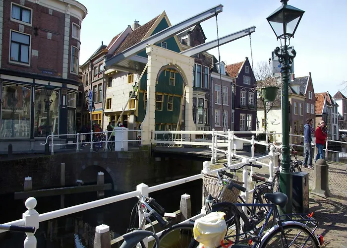 Near Woods And Egmond Heiloo