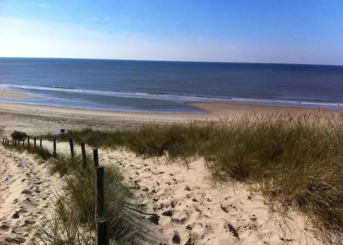 Tatil Evi Near Woods And Egmond