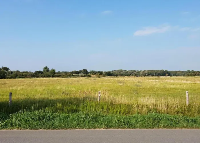 Near Woods And Egmond *