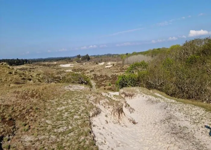 Near Woods And Egmond