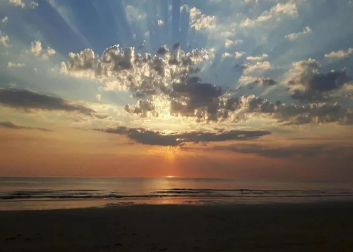 Near Woods And Egmond 펜션 *