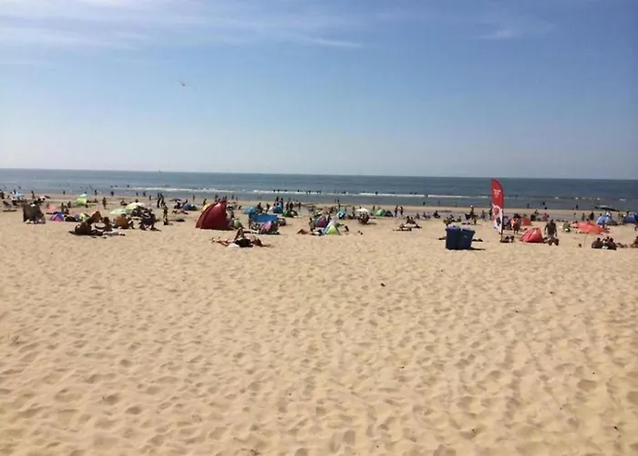 Near Woods And Egmond *