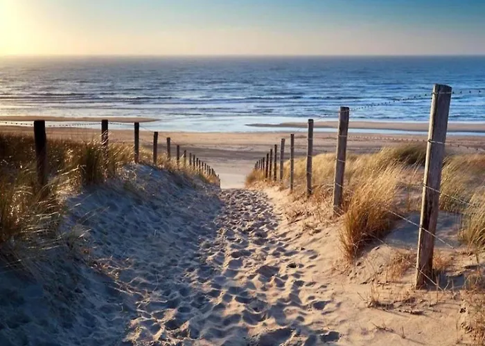 Near Woods And Egmond Heiloo