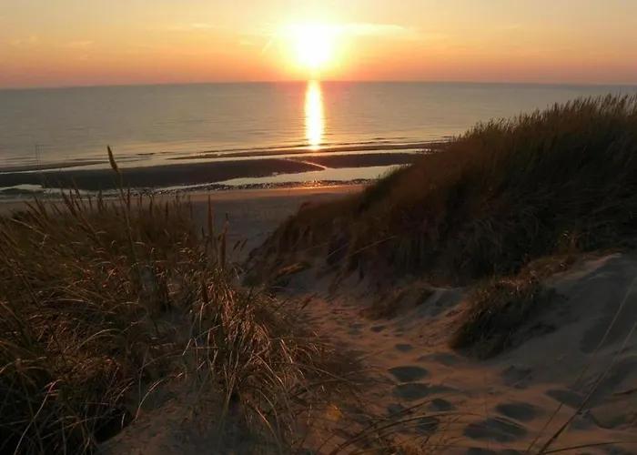 Near Woods And Egmond *