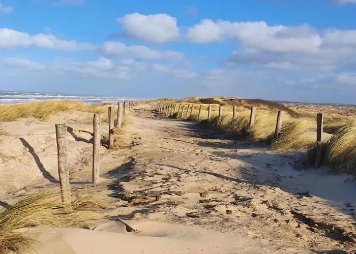 Near Woods And Egmond 펜션