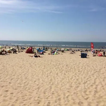 Near Woods And Egmond *