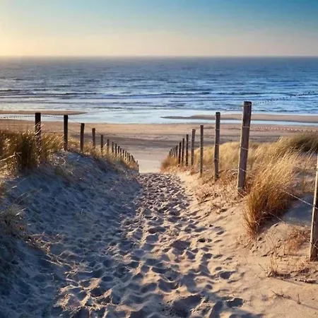 Near Woods And Egmond Heiloo