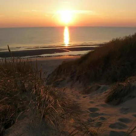 Near Woods And Egmond *